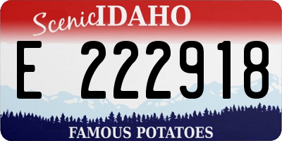 ID license plate E222918