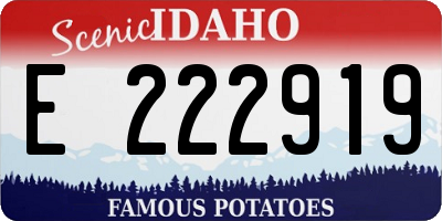 ID license plate E222919