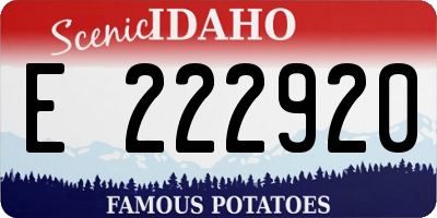 ID license plate E222920