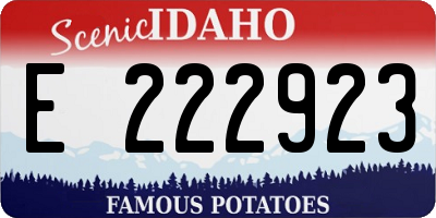 ID license plate E222923