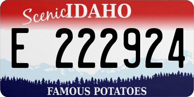 ID license plate E222924