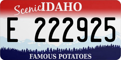 ID license plate E222925