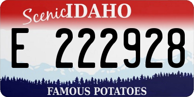ID license plate E222928