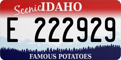 ID license plate E222929