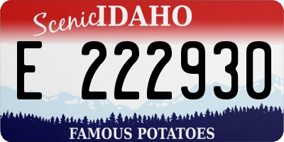 ID license plate E222930