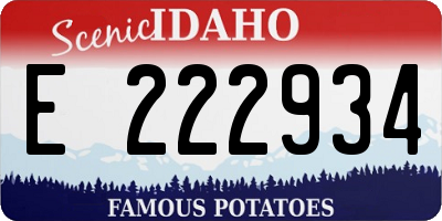 ID license plate E222934