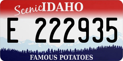 ID license plate E222935