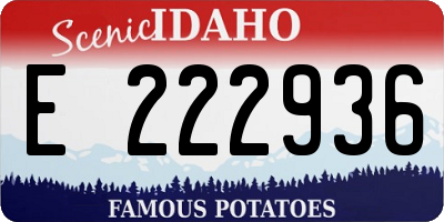 ID license plate E222936