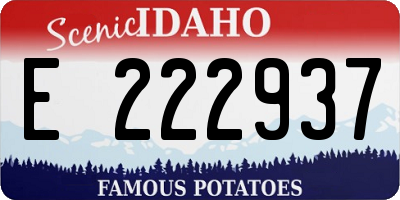ID license plate E222937