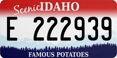 ID license plate E222939