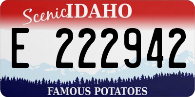 ID license plate E222942