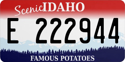 ID license plate E222944