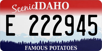 ID license plate E222945