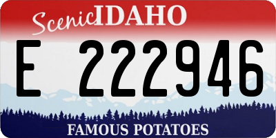 ID license plate E222946