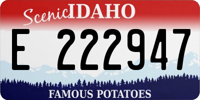 ID license plate E222947