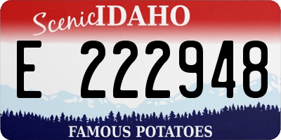 ID license plate E222948