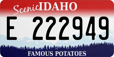 ID license plate E222949