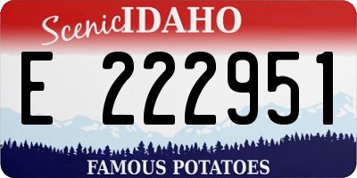 ID license plate E222951