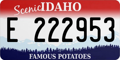 ID license plate E222953