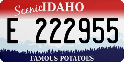 ID license plate E222955