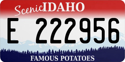 ID license plate E222956