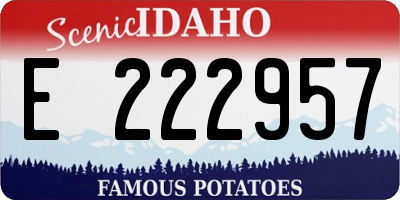 ID license plate E222957
