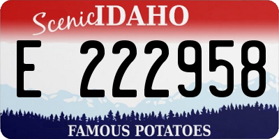 ID license plate E222958