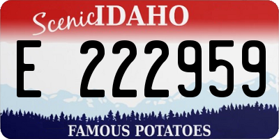ID license plate E222959
