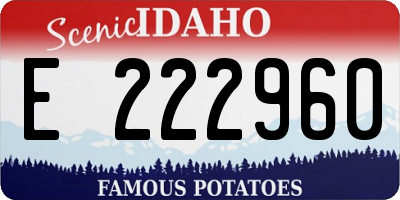 ID license plate E222960