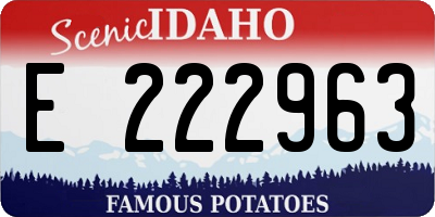 ID license plate E222963