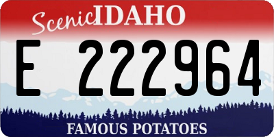 ID license plate E222964