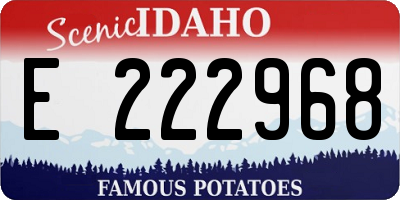 ID license plate E222968