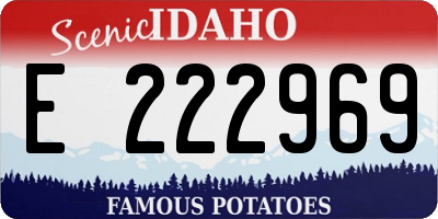 ID license plate E222969