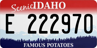 ID license plate E222970