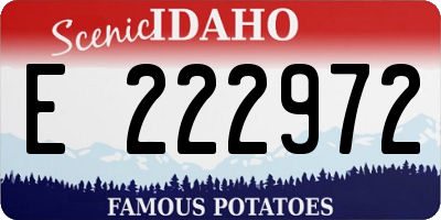 ID license plate E222972