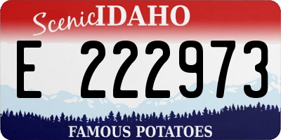 ID license plate E222973