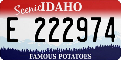 ID license plate E222974