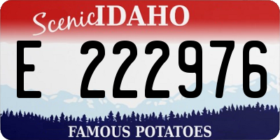 ID license plate E222976