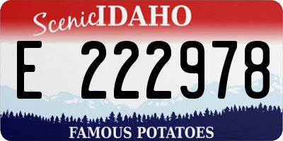 ID license plate E222978