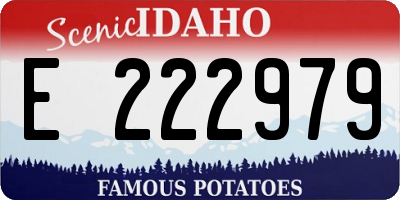 ID license plate E222979
