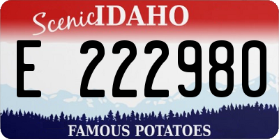 ID license plate E222980
