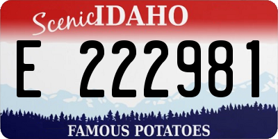 ID license plate E222981