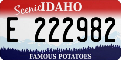 ID license plate E222982
