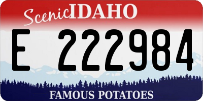 ID license plate E222984