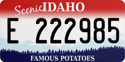 ID license plate E222985