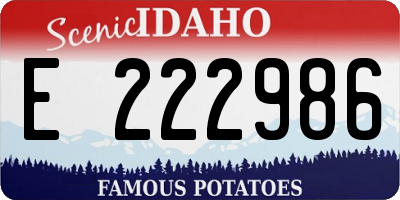 ID license plate E222986
