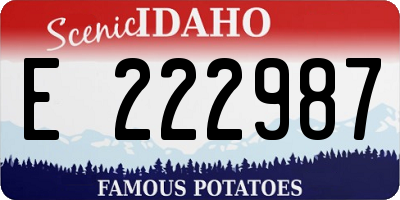 ID license plate E222987