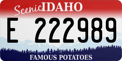 ID license plate E222989