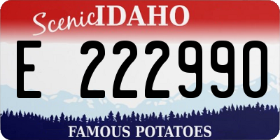 ID license plate E222990