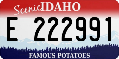 ID license plate E222991